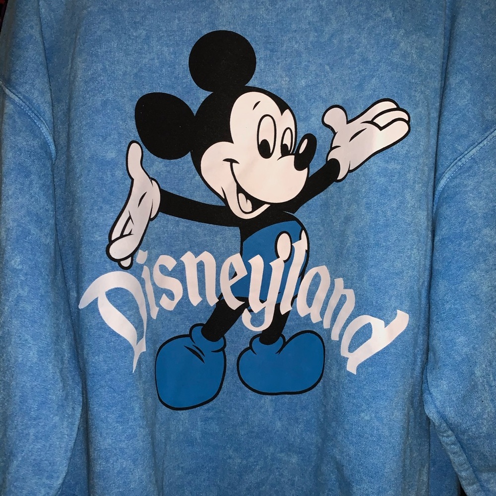 Disney Parks Sweatshirt @joamyrollo10